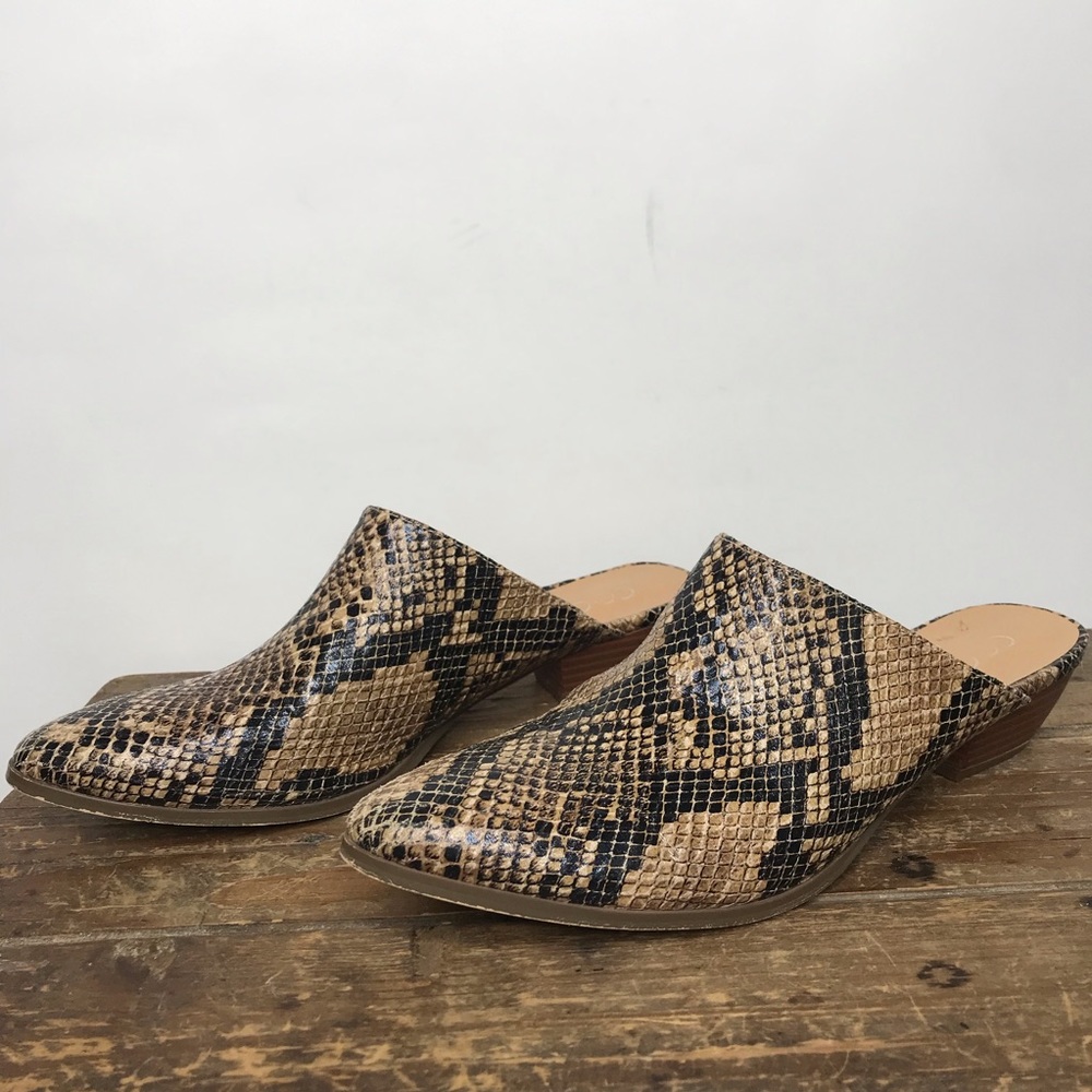 Coconuts by Matisse Snake Print ‘Lucky’ Mules